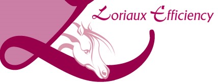 Loriaux Efficiency