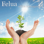Felua Office Management