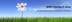 BORN Coaching & Advies