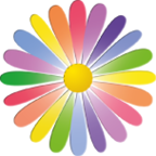 Colour Your Personality