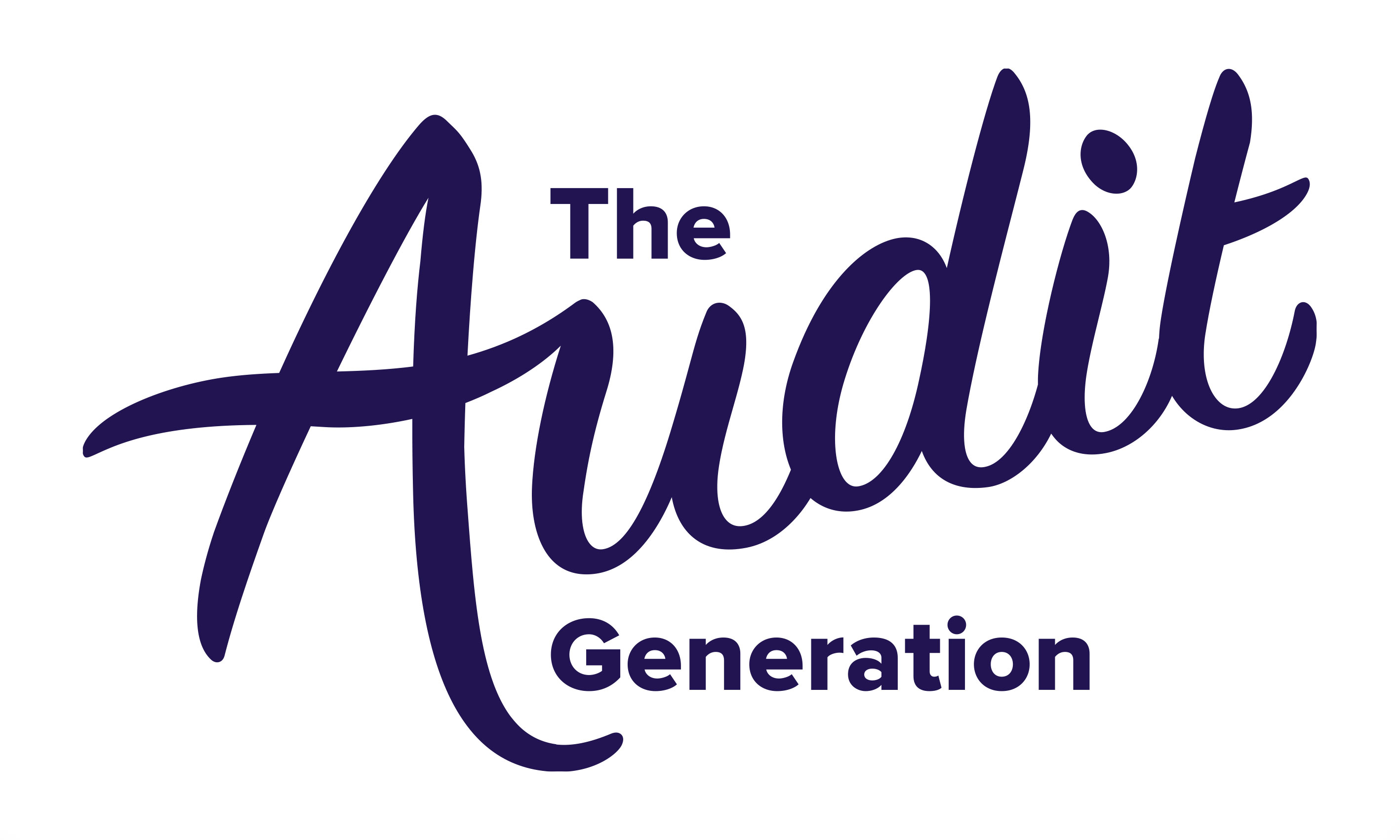 The Audit Generation B.V.
