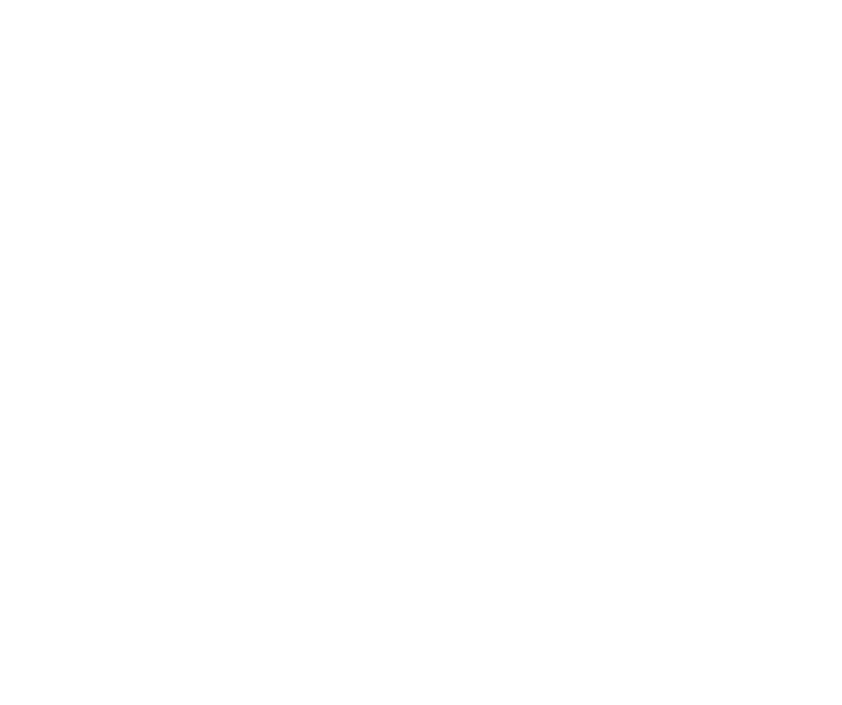 Special Purpose Projects