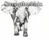 Strengthwithin Gym Equipment