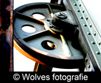 Wolves fotografie
