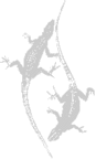 Klaartje Jaspers