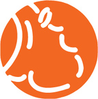 Hippocom