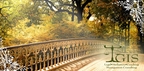GIS-Legal-Mediation-Coaching-Management Consulting