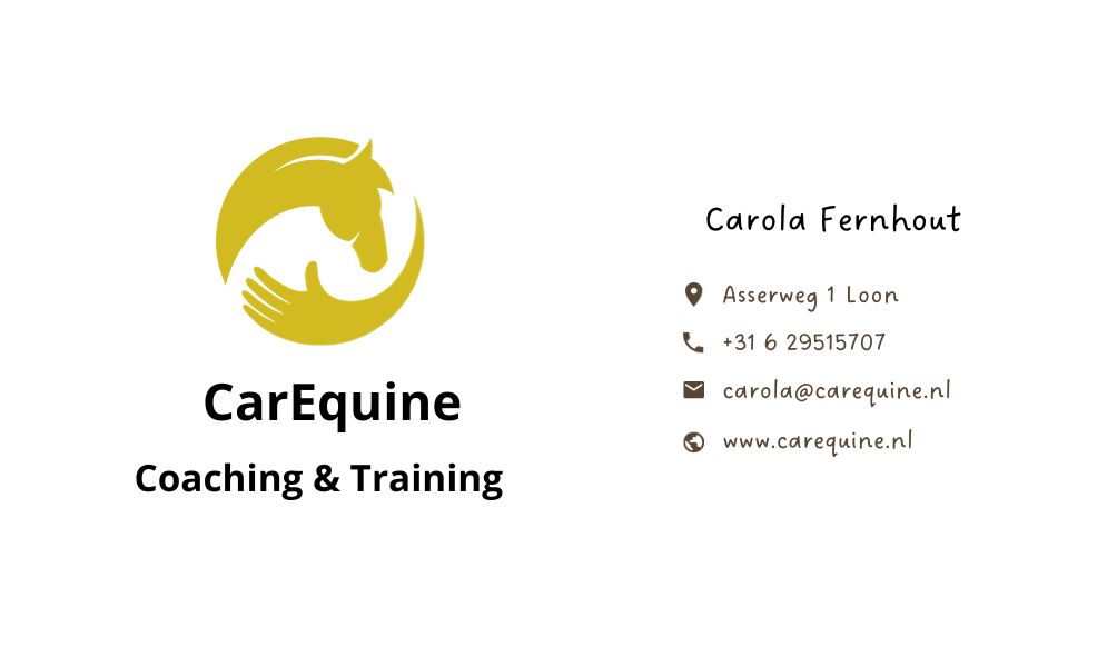CarEquine coaching en training